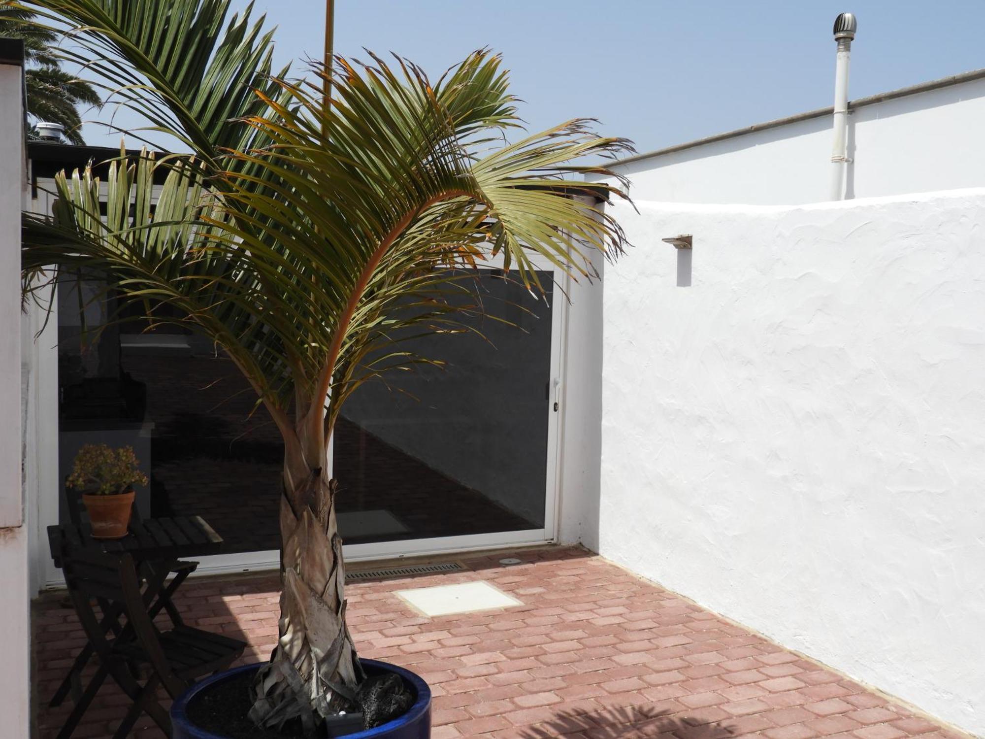 Palmeras Apartment